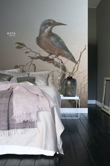 Esta XL2 - Photowalls | Blush 158888 (Met Gratis Lijm)