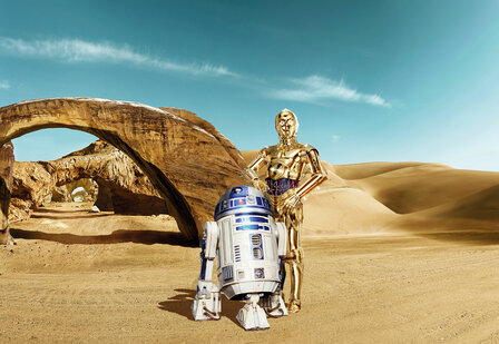 Komar STAR WARS Lost Droids 8-484