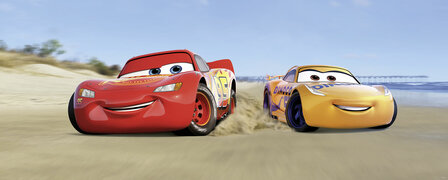 Komar Cars3 Beach 003-DVD1