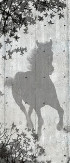 Horse Shadows on Gray Wall Deurposter Fotobehang 3150VET