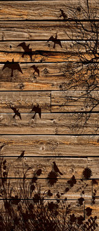 Meadow on Wood Planks Deurposter Fotobehang 3487VET