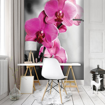 Pink Orchid Fotobehang 10155VEA