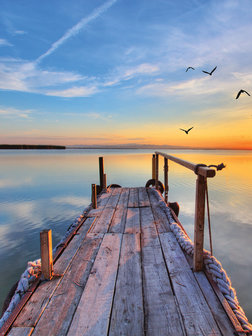 Wooden bridge Fotobehang 11619VEA