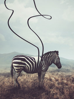 Zebra Fotobehang 11754VEA