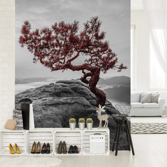 The tree on the rock Fotobehang 11771VEA