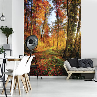 forest Fotobehang 12108VEA