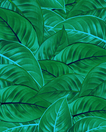 Komar Jungle Leaves P044-VD2