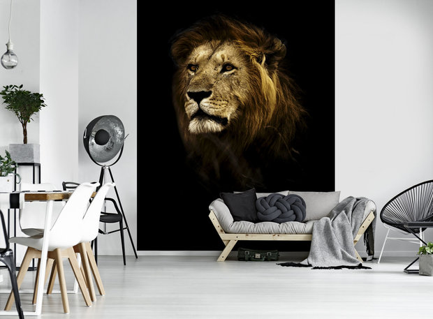 Lion Fotobehang 11766VEA