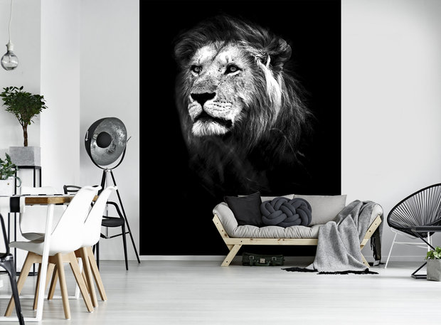 Lion Fotobehang 11768VEA