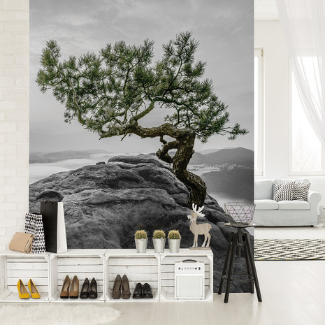 The tree on the rock Fotobehang 11759VEA