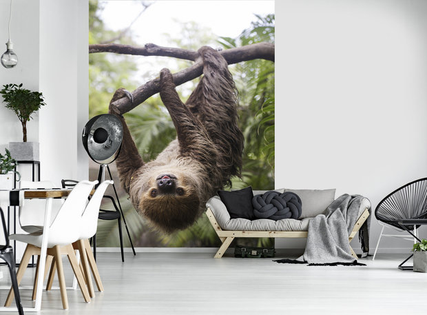 Sloth Fotobehang 11858VEA